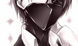 酷动漫图片,探寻视觉盛宴中的独特魅力