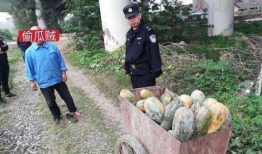 淮北爆料吃瓜事件真相,揭秘背后真相与真相背后的真相